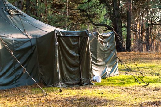 Green tent with tent camping, camping in the woods