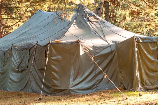 Green tent with tent camping, camping in the woods