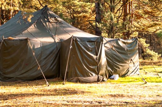 Green tent with tent camping, camping in the woods