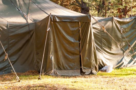 Green tent with tent camping, camping in the woods