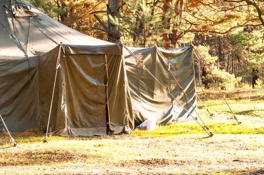 Green tent with tent camping, camping in the woods