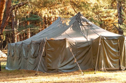 Green tent with tent camping, camping in the woods