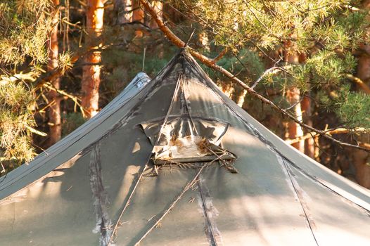 Green tent with tent camping, camping in the woods