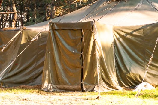 Green tent with tent camping, camping in the woods