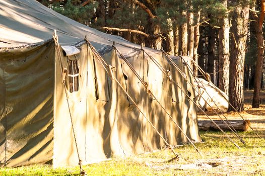 Green tent with tent camping, camping in the woods