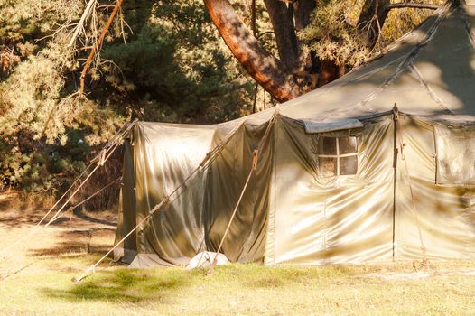 Green tent with tent camping, camping in the woods