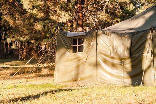 Green tent with tent camping, camping in the woods