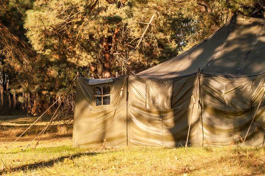 Green tent with tent camping, camping in the woods