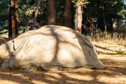 stack of straw covered with a tent in the woods