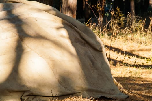 stack of straw covered with a tent in the woods