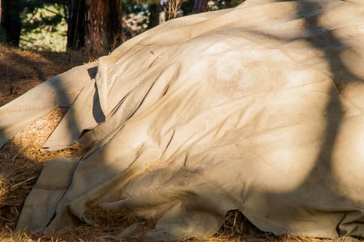 stack of straw covered with a tent in the woods