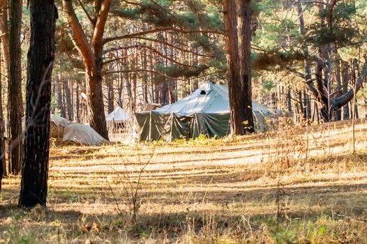 Green tent with tent camping, camping in the woods