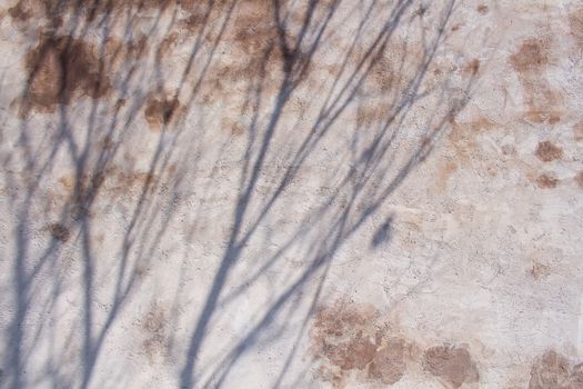 Concrete wall with orange spots. Shadows of the trees on the wall.