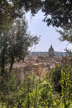 View on the italian capital from a hill. Dome of a church and roofs of the residential houses. Trees in the foreground.