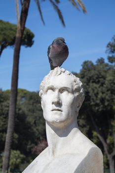 In a park in the city center of Rome, there is a statue of italian sculptor Antonio Canova. This time in a company of a pigeon.