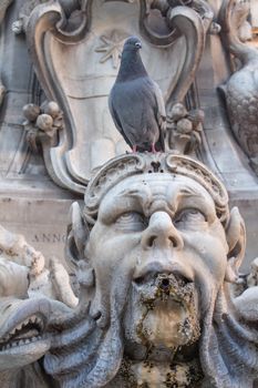 One of the roman beautiful fountains. This one is located infront of famous Pantheon. Baroque faces and fishes and a pigeon.