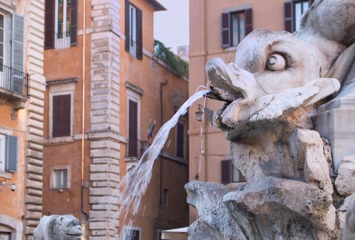 One of the roman beautiful fountains. This one is located in front of famous Pantheon. Baroque faces and fishes.