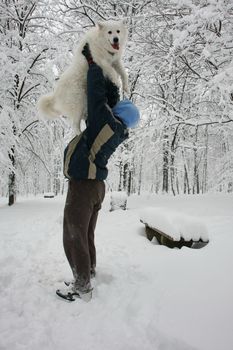 Man playing with Samoyed in the forest covered with snow