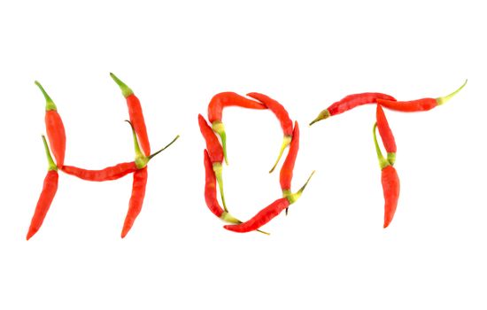 red chilli peppers  on white background