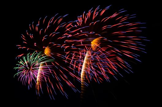 An image of exploding fireworks at night. Represents a celebration.