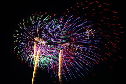 An image of exploding fireworks at night. Represents a celebration.