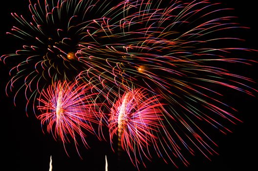 An image of exploding fireworks at night. Represents a celebration.