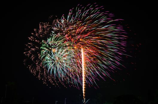 An image of exploding fireworks at night. Represents a celebration.