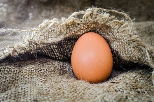 Chicken egg of Still Life on Linen.