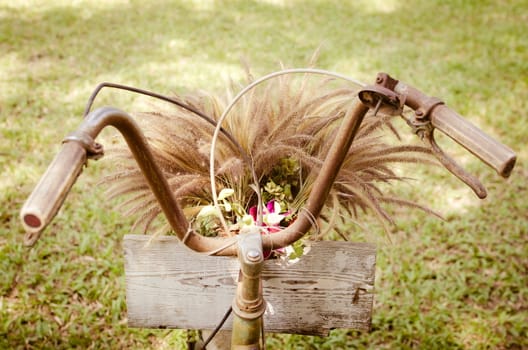 Flower grass on the bicycle with vintage idea.