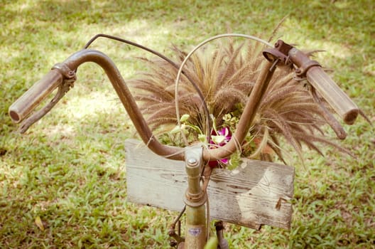 Flower grass on the bicycle with vintage idea.