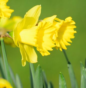 Signs of spring.







Signs of spring.