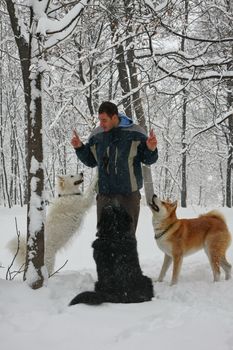 Man educating three dogs in the forest covered with snow