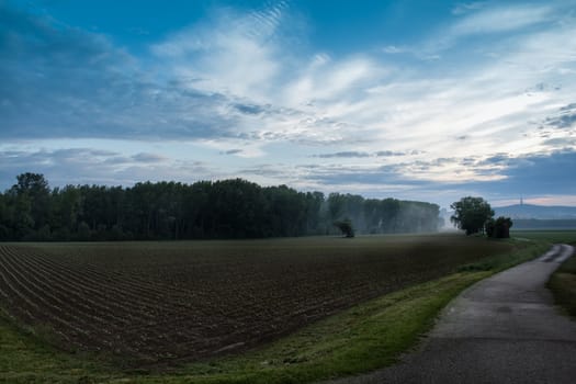 Early morning after a storm. Cloudy sky. Field with small spring cereals. A small forest at the end of the the field. Hills with a city in the background.