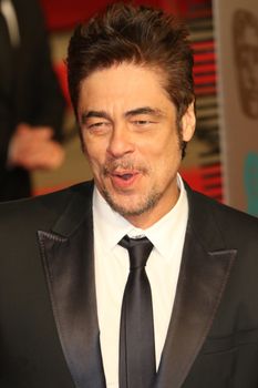 UK, London: Puerto Rican actor Benicio del Toro poses on the red Carpet at the EE British Academy Film Awards, BAFTA Awards, at the Royal Opera House in London, England, on 14 February 2016.