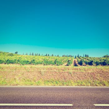 Asphalt Road between Autumn Vineyards in the Tuscany, Instagram Effect