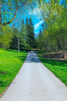 Footpath in autumn park on a sunny afternoon