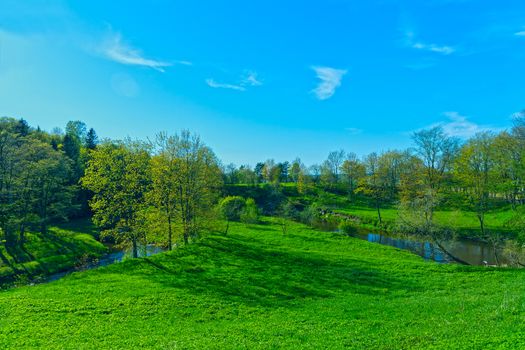 Spring landscape green country park