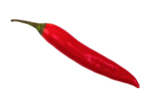 Red Chilli isolated on a white background