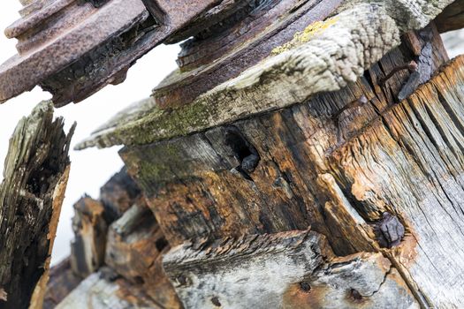 Werck wood boat on the beach, France Normandy Cotentin viking