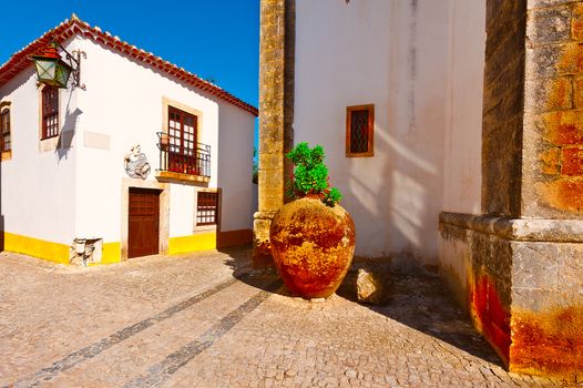The Large Amphora as a Flowerpot  in the Medieval Portuguese City of Obidos
