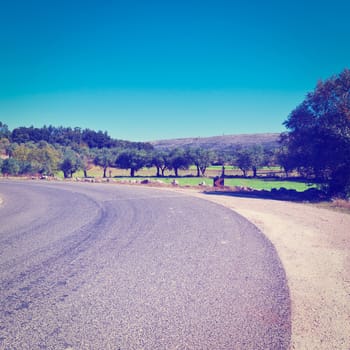 Asphalt Road between Hills Covered with Olive Groves in Portugal, Instagram Effect