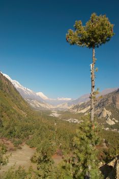 Tibetan green valley, view from Annapurna trek