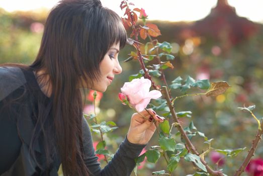 Beautiful girl with pink rose, soft background