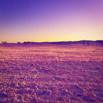 Sloping Hills of Portugal in the Autumn at Sunset, Instagram Effect