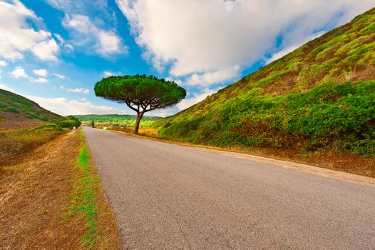 Asphalt Road Leading to Atlantic Coast of Portugal