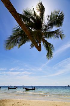 sun ligt  asia in the  kho tao bay isle white  beach    rocks  boat   thailand  and south china sea anchor