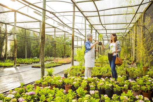 Beautiful mature florist helping a female customer to choose plants