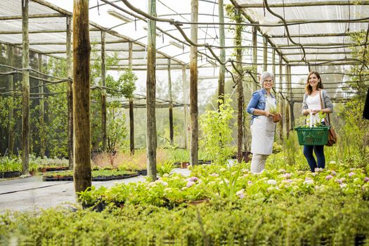 Beautiful mature florist helping a female customer to choose plants