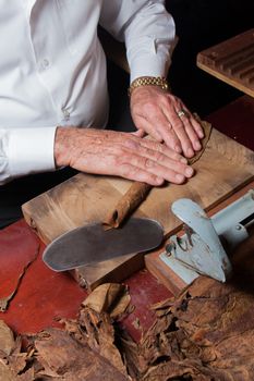 Old man Torcedor rolling hand made cigars parejos