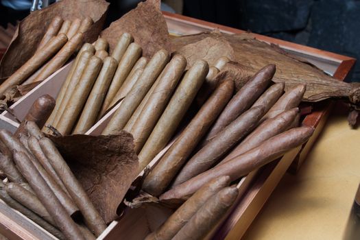 hand made cigars parejos